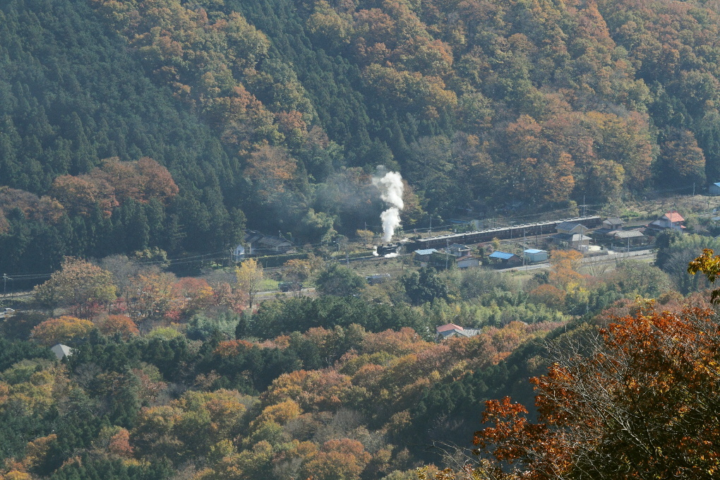 紅葉に白い蒸気 - 秩父・2017年晩秋 -_b0190710_23344127.jpg