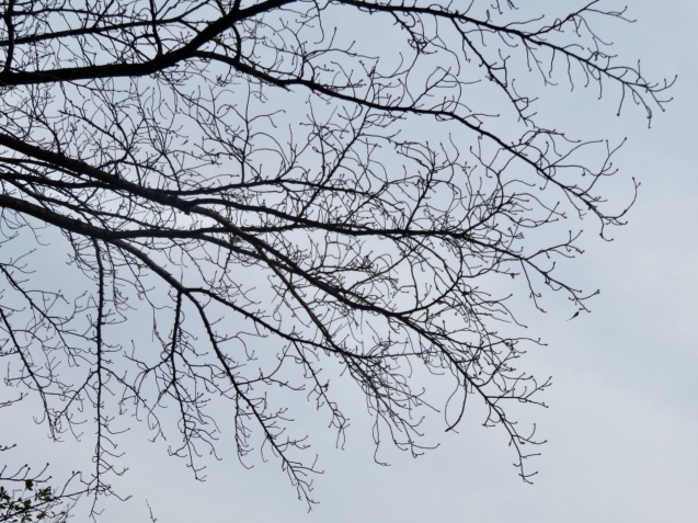 b0344816_11073096.jpeg