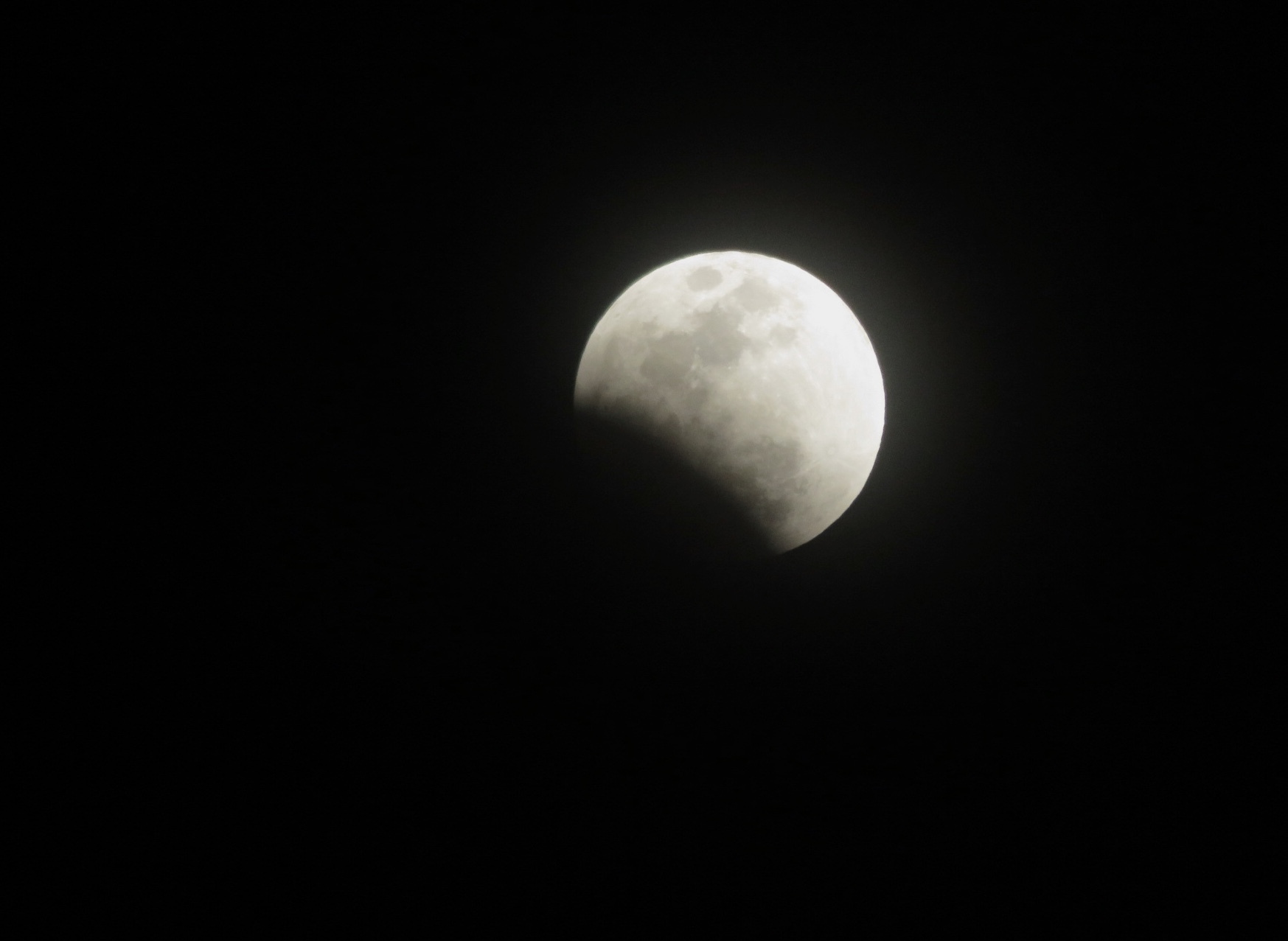 b0344816_15063618.jpeg
