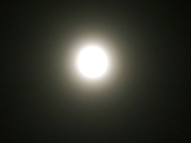b0344816_15072342.jpeg