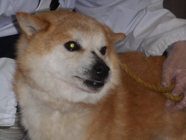 f0078320_23012774.jpg