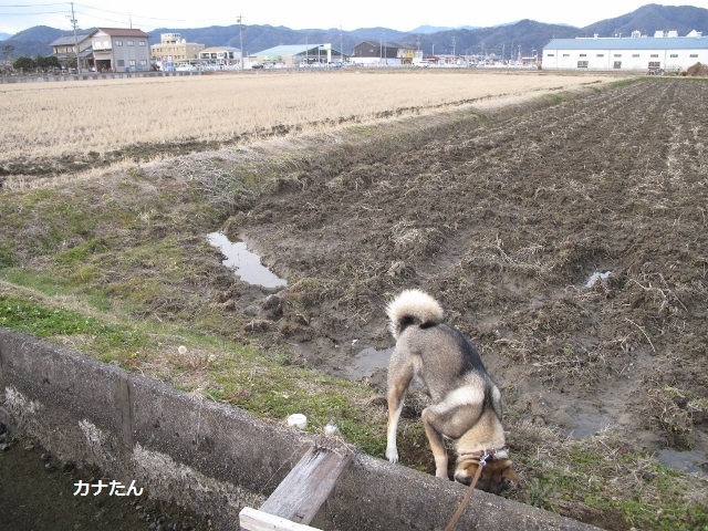 f0143123_10354430.jpg