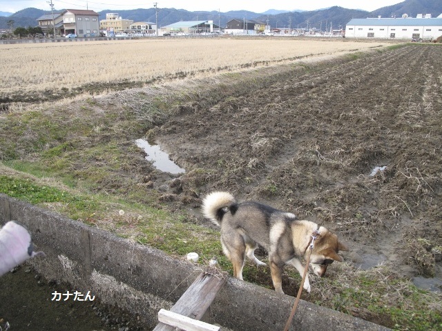 f0143123_10354958.jpg