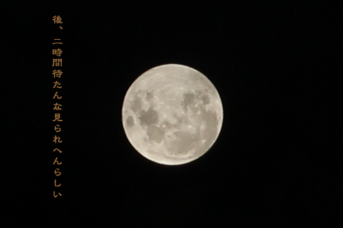 d0042827_06205281.jpg
