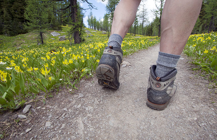 登山、ハイキング、トレッキングは違うもの？　〜　英語でHIKINGの意味するところは、日本のそれと少し違います。_d0112928_08562586.jpg