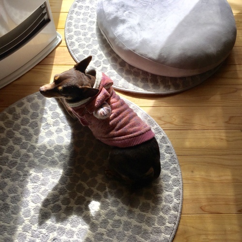 a0291132_17400390.jpeg