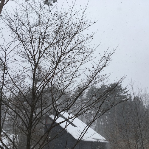 a0291132_17430829.jpeg