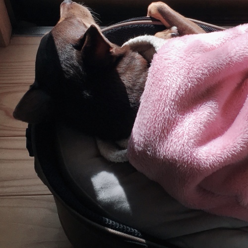 a0291132_17564923.jpeg