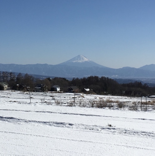 雪の週のマロン_a0291132_18180418.jpeg