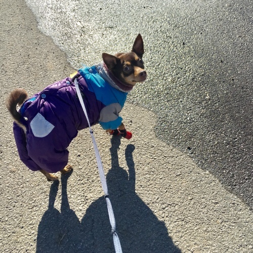 a0291132_18211123.jpeg