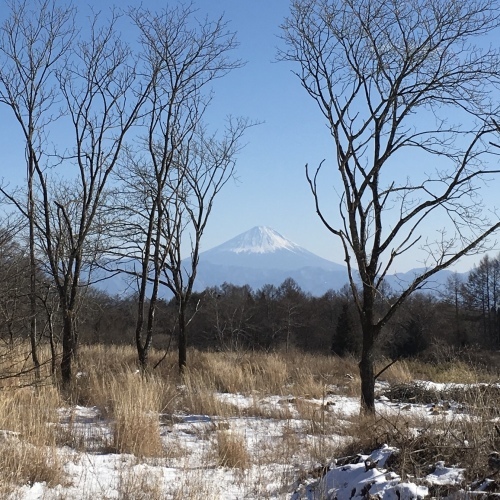 a0291132_18214063.jpeg
