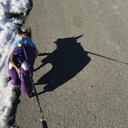 a0291132_18220184.jpeg