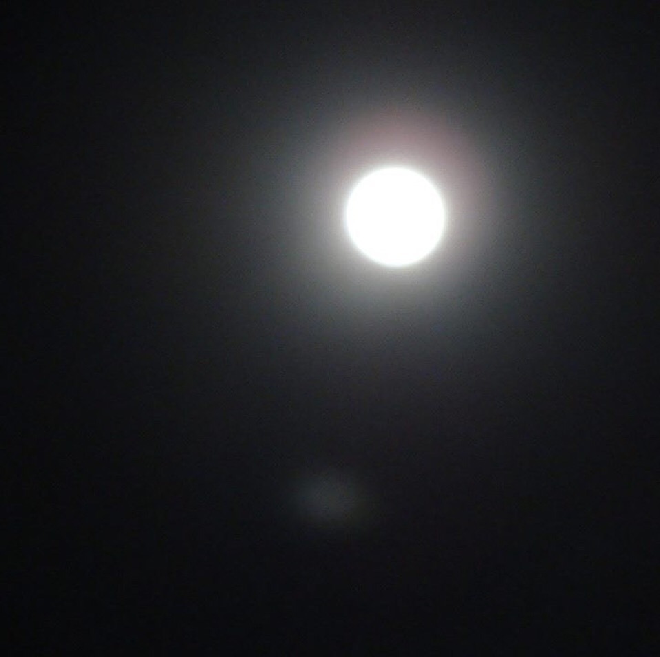 d0269832_12560824.jpeg