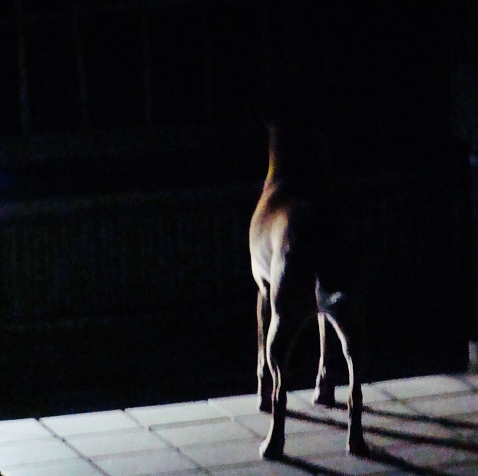 d0269832_12563169.jpeg