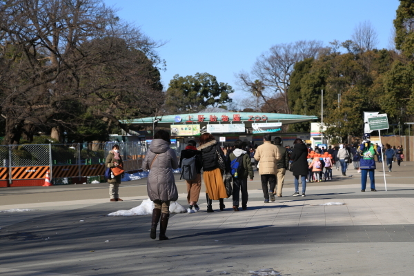 上野東照宮・冬ぼたん　その１_f0229832_09041585.jpg