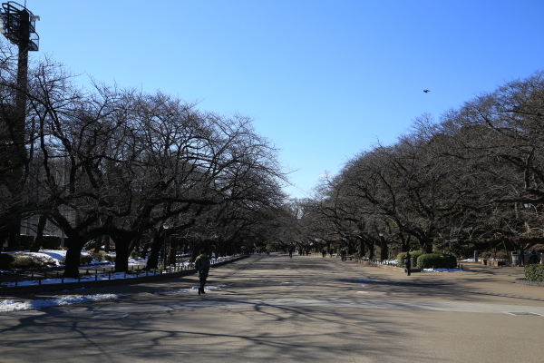 f0229832_09042312.jpg