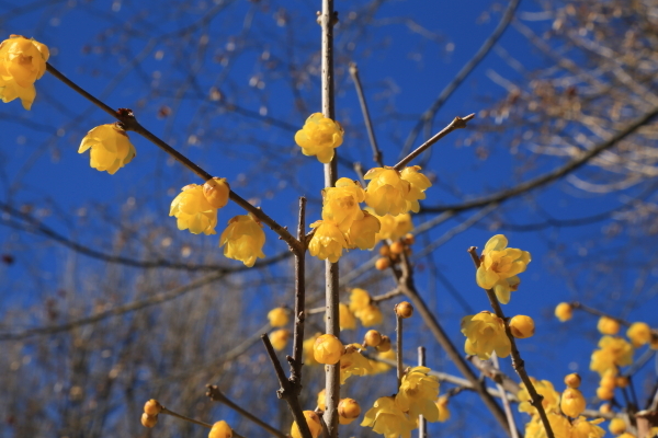 f0229832_09061134.jpg