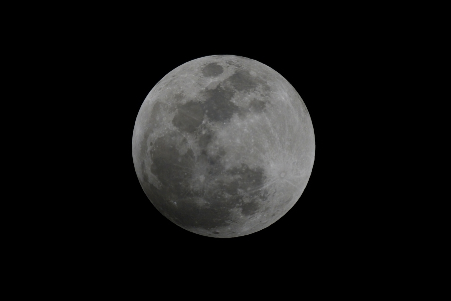 a0026235_10563551.jpg