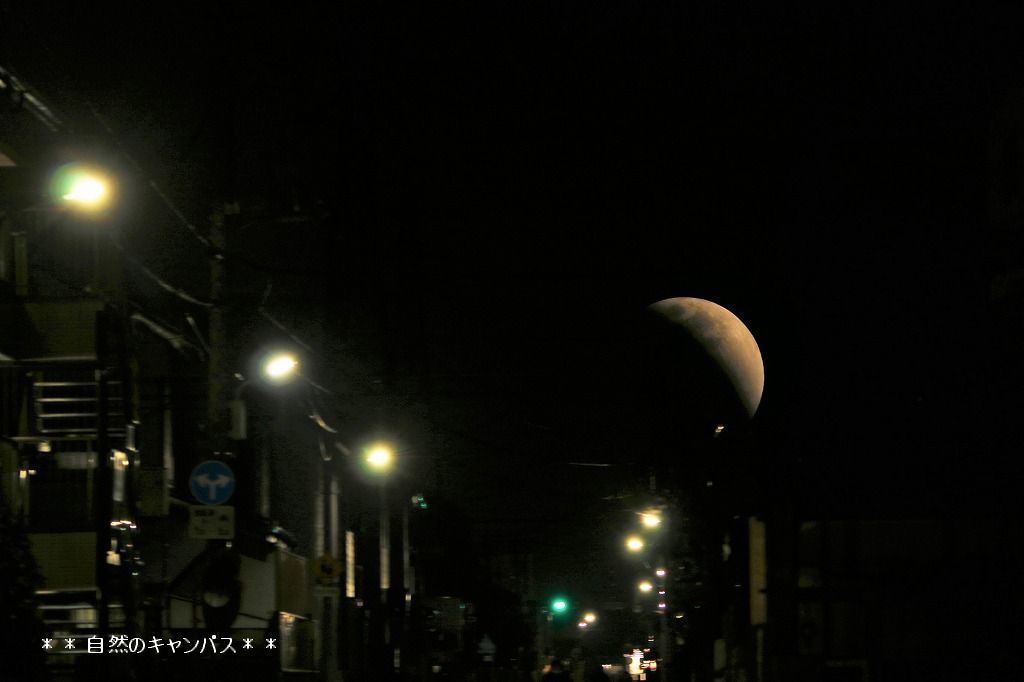 e0052135_18144269.jpg