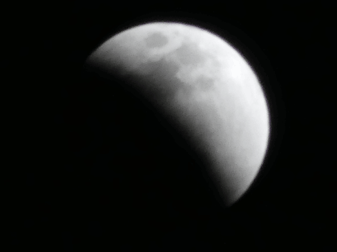 a0123836_14063016.gif