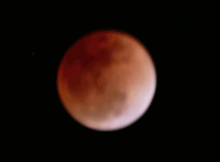 a0123836_14063588.gif