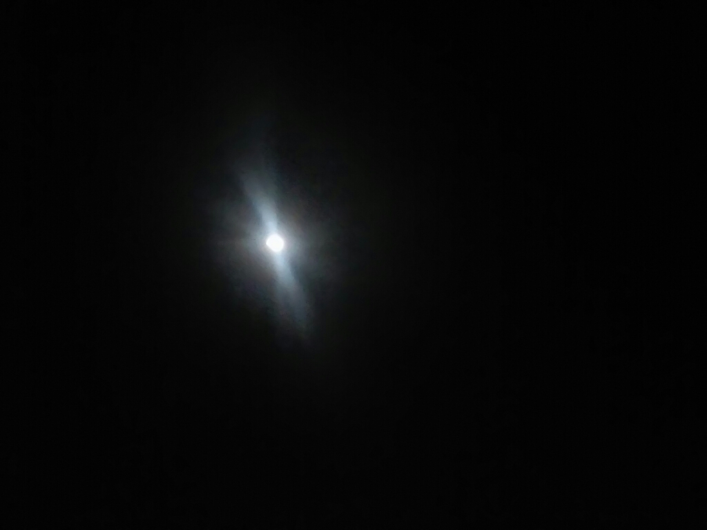 c0076939_00123492.jpg