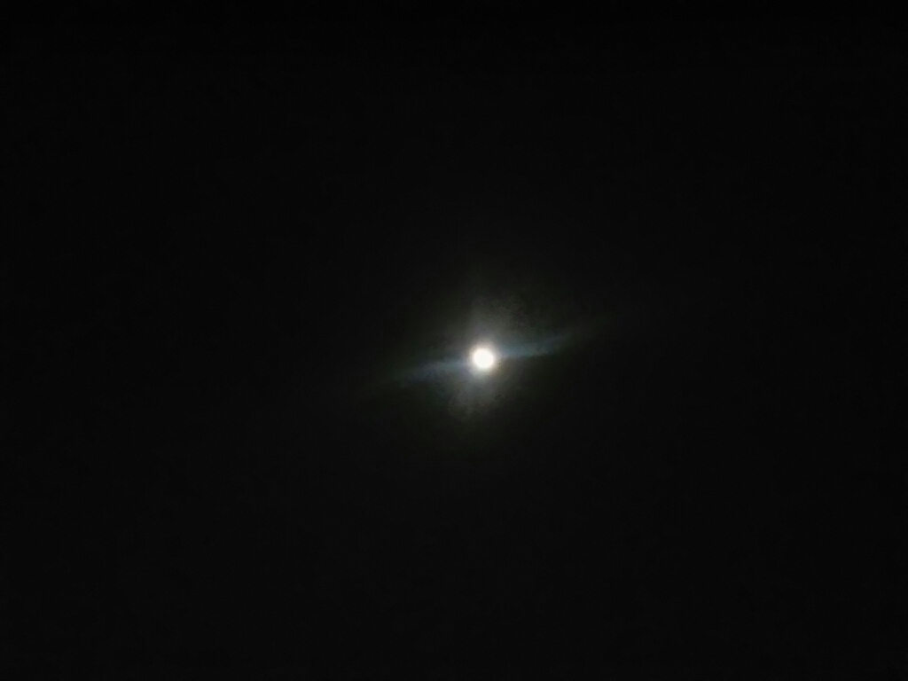 c0076939_00123832.jpg