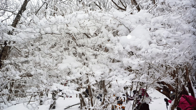e0371039_7123071.gif