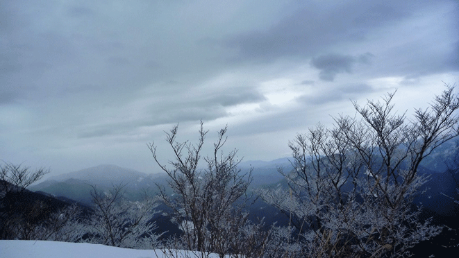 e0371039_7123970.gif