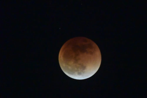 今夜（1/31）の天体ショー・皆既月食_f0206939_00405034.jpg