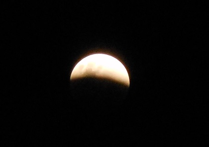 c0026843_23294670.jpg