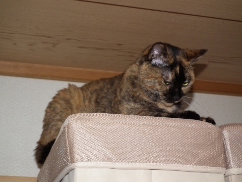 d0358843_14021331.jpg