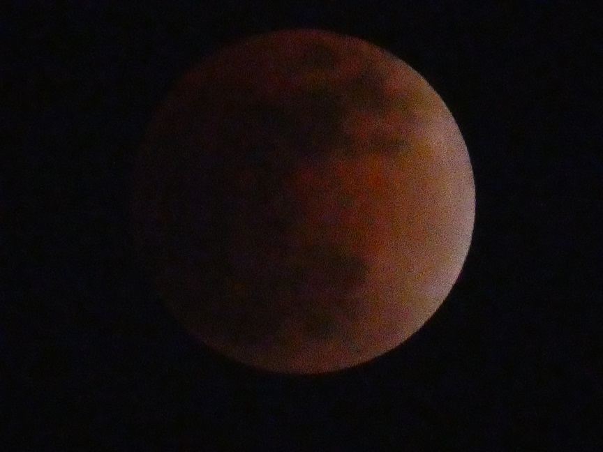 d0288144_16171721.jpg