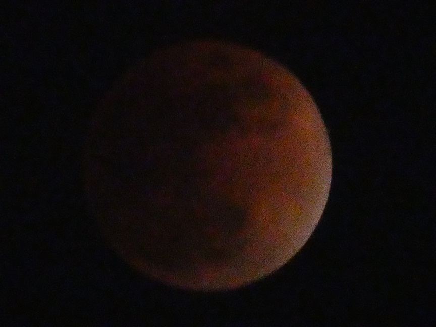 d0288144_16172014.jpg