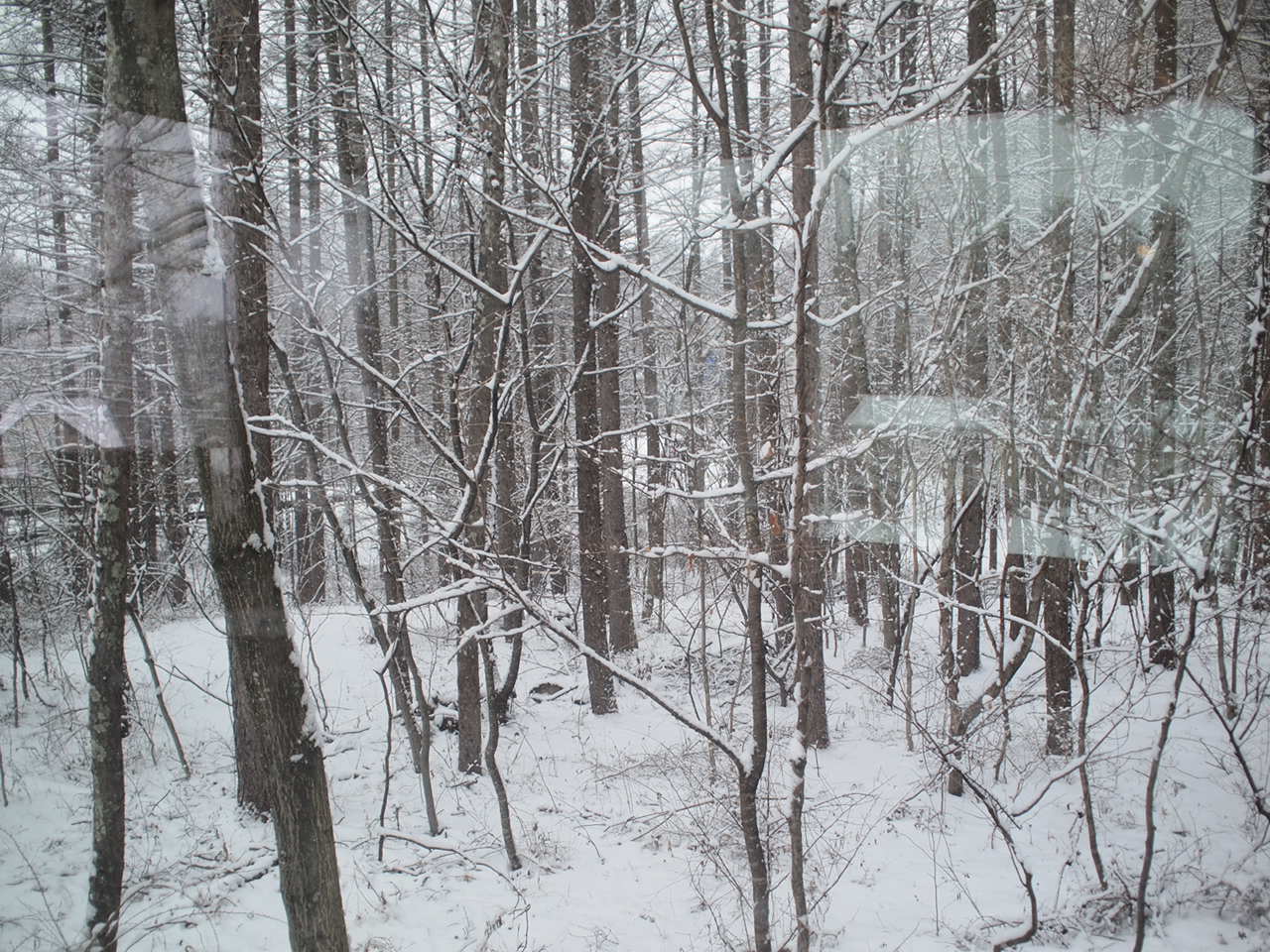 a0299945_17355102.jpg