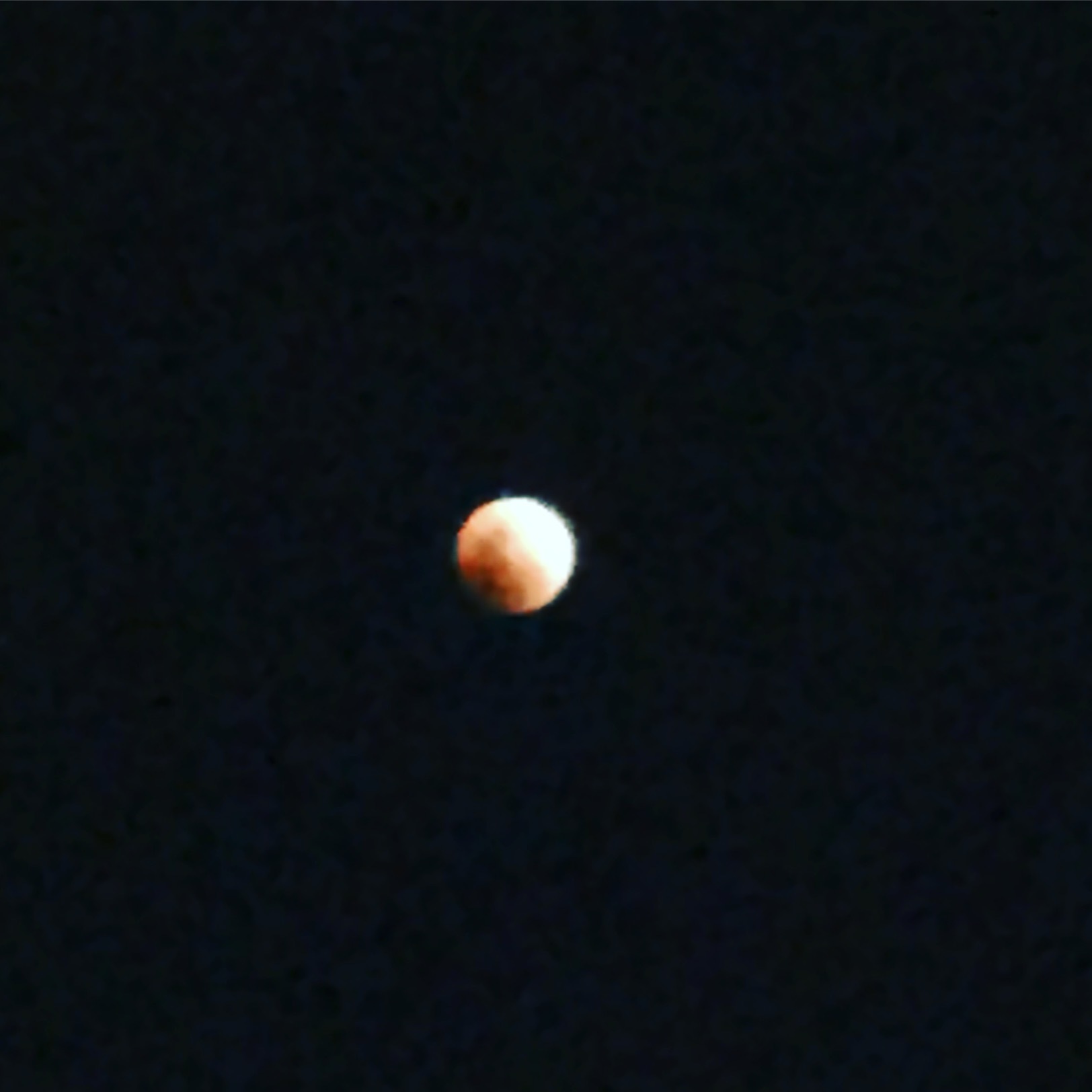 d0333449_16431726.jpeg