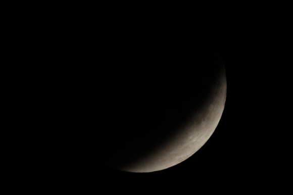 b0100253_11283346.jpg