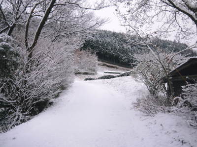 2018年の2月は雪のスタート!しかし1日でこうも変わったんです!!株式会社旬援隊の冬の様子_a0254656_18092664.jpg
