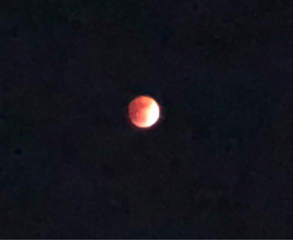 b0181457_01231141.jpg