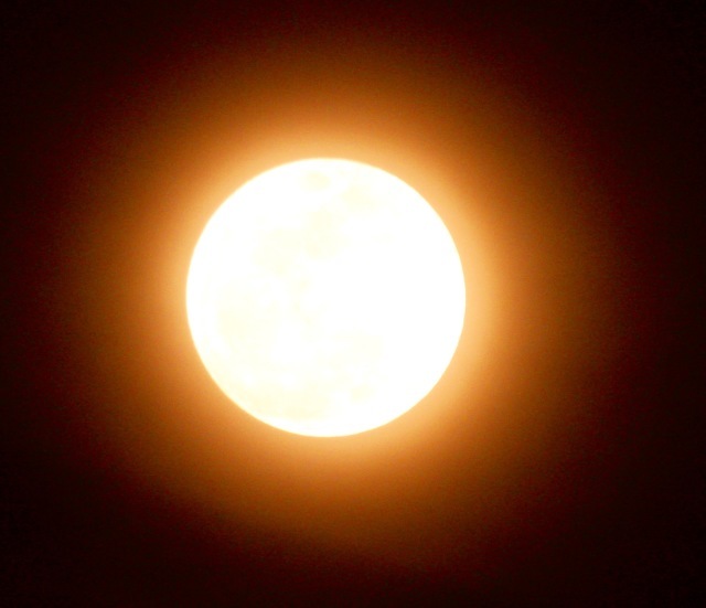 a0248459_14201179.jpg