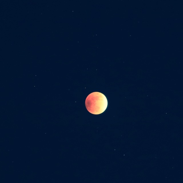 a0248459_14290441.jpg