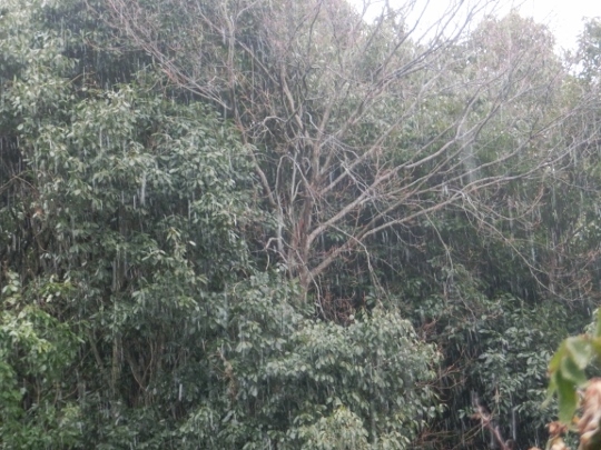 c0328559_15554876.jpg