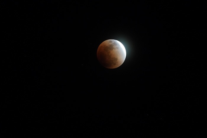 スーパー・ブルー・ブラッド・ムーン/Super Blue Blood Moon_b0173867_20123707.jpg