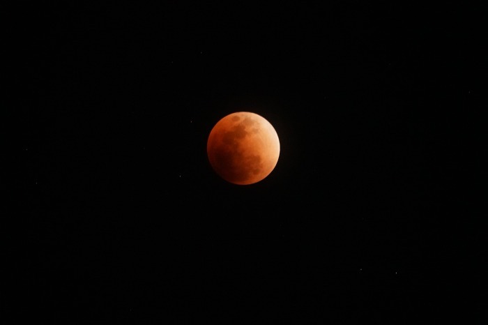 スーパー・ブルー・ブラッド・ムーン/Super Blue Blood Moon_b0173867_20125468.jpg