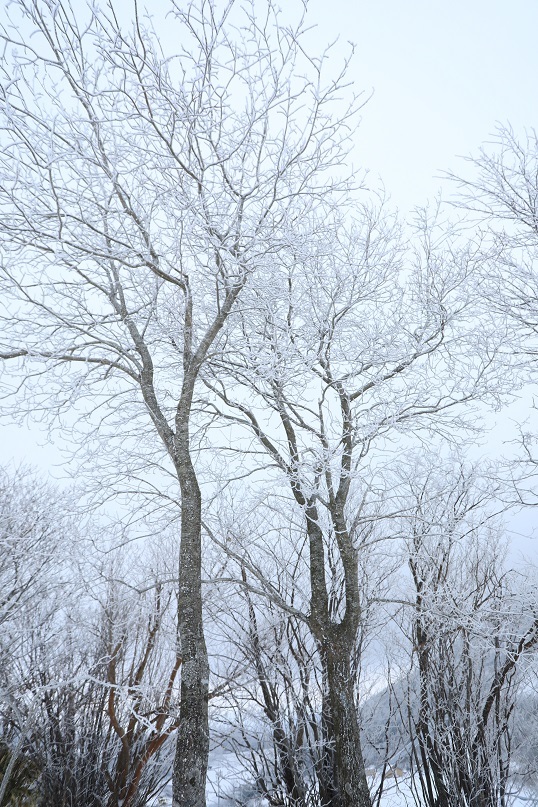 e0304170_19002461.jpg