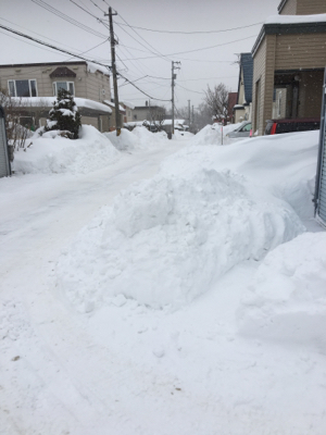 2018.02.01 木曜日 晴突然雪 _c0217871_17271490.jpg