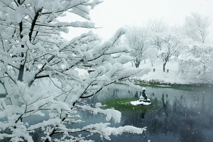 c0248473_13061261.jpg