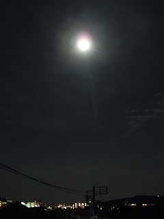 d0353074_16004156.jpg