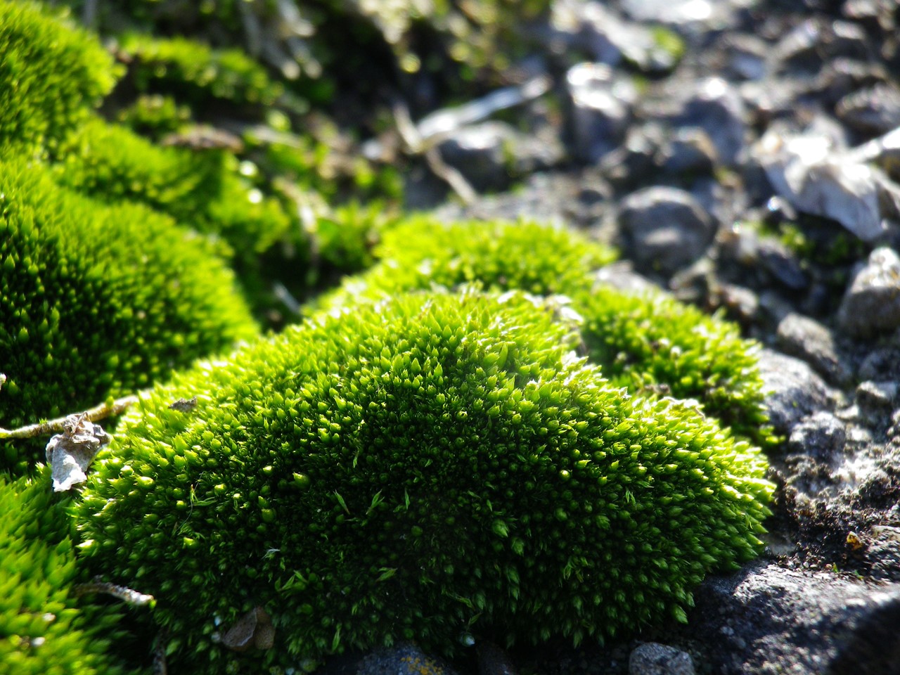 d0054276_2018535.jpg