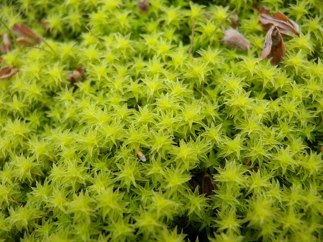 d0054276_20191631.jpg